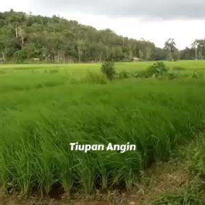 Anginnya bikin takut tapi bikin asyik.
 #Ini bukan di Bali