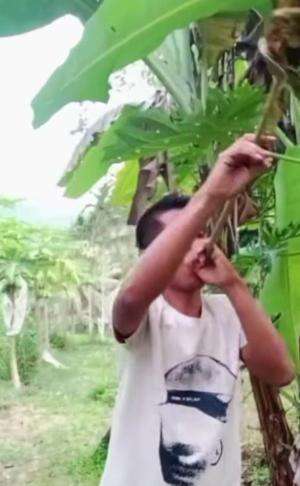 Joget yang lagi viral saat ini #fyp #fypシ゚viral 