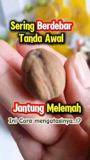 JANTUNG SERING BERDEBAR TANDA AWAL JANTUNG MELEMAH, INI CARA MENGATASINYA

#tipsandtrik #tips #trik #tutorial #kreatif #hiburan #inspirasi #