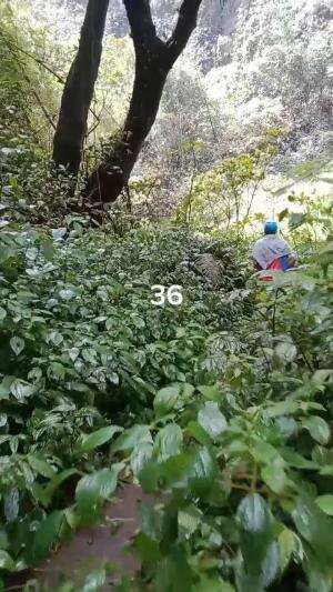 Penampakan Coban Sanusi
Serunya Tracking Coban Di Benjor Part 36
#jalan #benjor #setapak #coban #cinde #sanusi #cakra #srikandi #ngalam