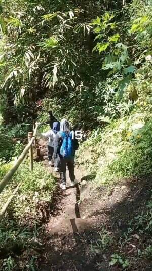 Tracking Air Terjun Coban Srikandi Desa Benjor Kab. Malang Jatim Part15 #tranding  #malangjatim  #airterjun 