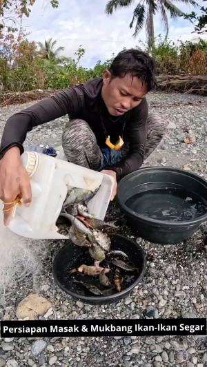 Persiapan Masak & Mukbang Ikan-Ikan Segar #Masak #Mukbang #ikanlangka #masihsegar #kuliner #RCTIPlus 