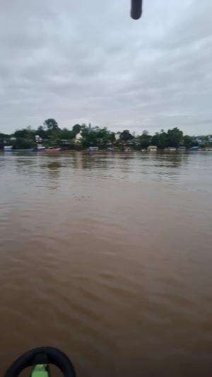 SUNGAI BARITO MELUAP 
 #sungaibaritomeluao
 #sungaibaritobanjir
