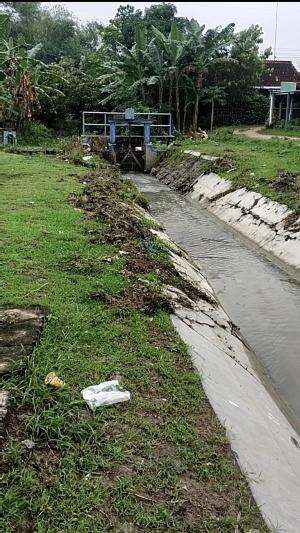 Pemandangan Saluran Irigasi Persawahan 