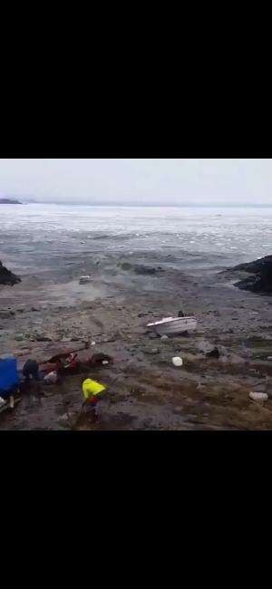 Mengapa tidak langsung lari 😪