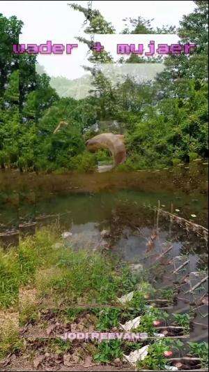 #test mancing di Palembang lurr ...