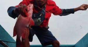 Spot Gacor!! Mancing di Karas Kepulauan, Fakfak, Papua Barat #mancingmania #mancing #pancing 