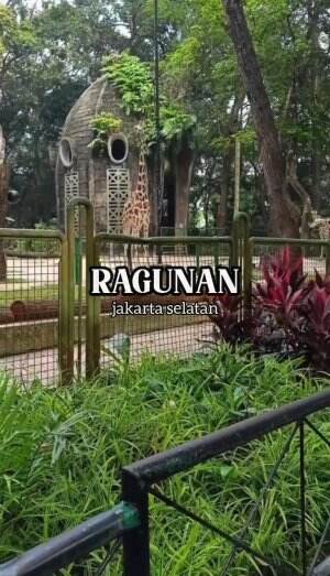 Jalan-Jalan Ke Ragunan. 🦍🦒🦤