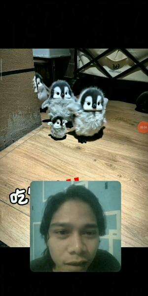 Aaahh😱Lucu Lucu Ya Guys Pinguin Nya🤩
#fypシ゚viral #shortplus #RCTIPlus #reaction #funny #semuaorang 