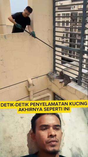 penyelamatan kucing paling mendebarkan  #short  #RCTIPlus  #reaction 