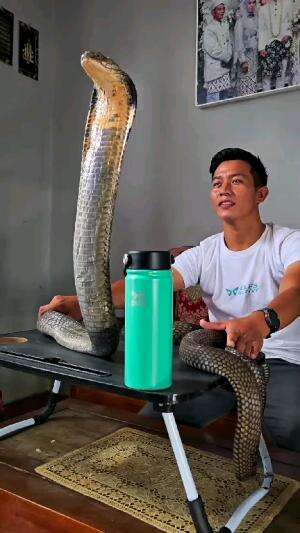 Lagi asik nononton euy ..
#Viral #Kisah Viral #virall 