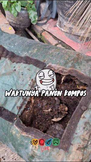 Panen sampah #Daurulang #Sampah #Organic #Pupuk #Kompos 