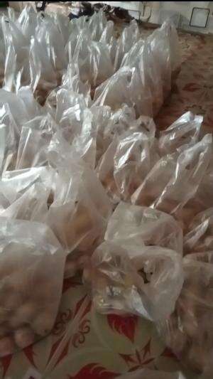 SELESAI MEMBUNGKUS 
 #siapsiapotw
 #ready
