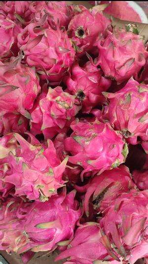 Dragon fruits