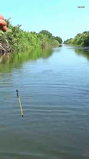 nila babon guys
#mancing #viral #fypシ 