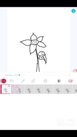 Animasi sederhana Bunga jatuh