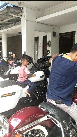 Harley davidson viral  #Viral 