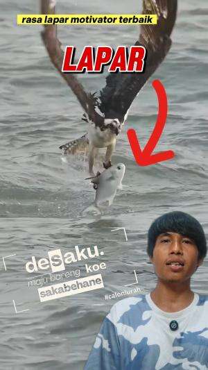 rasa lapar motivator terbaik #bird #burung #ikan