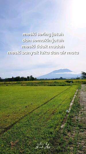 Terimakasih sudah berjuang
Terimakasih sudah bertahan 