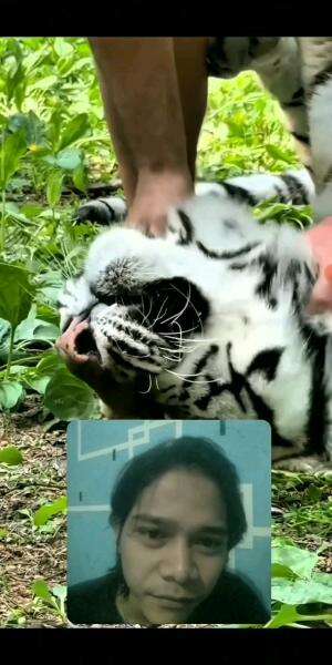 Woo😱Ngeri Apa Gemess Ini Guyss🤩
#fypシ゚viral #reaction #shortplus #RCTIPlus #funny #semuaorang 