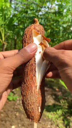 asmr mengupas kulit singkong yang sangat renyah dan memuaskan

 #singkong
 #kulitsingkong
 #asmr
 #satisfying
 #fresh
