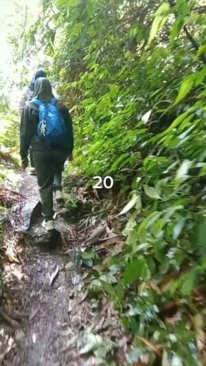 Tracking Coban Di Benjor Part 20
#jalan #benjor #setapak #coban #cinde #sanusi #cakra #srikandi #ngalam