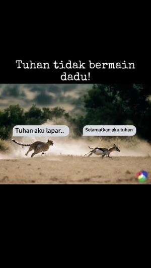 #fypシ゚viral 
#jangkauanluas 