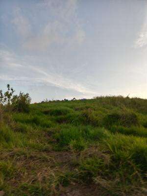  #hiking #tektok #pendakigunung