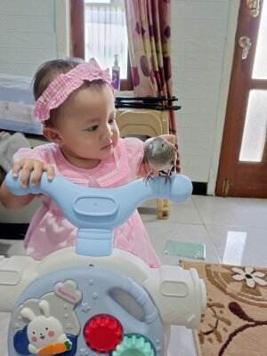 mainan si kecil untuk latihan melangkah  #parenting  #permainan  #baby  #mom&baby