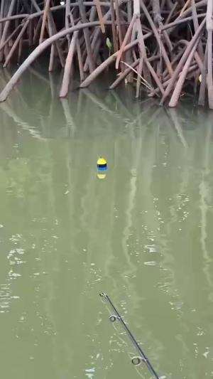 goyangan maut  #RCTIPlus  #HOTrctiplus  #RCTIoke  #mancing 