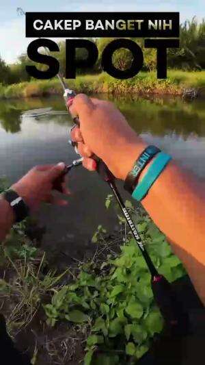 tarikan sang predator memang mantap     #rcti  #RCTIPlus  #HOTrctiplus  #mancing  #casting 