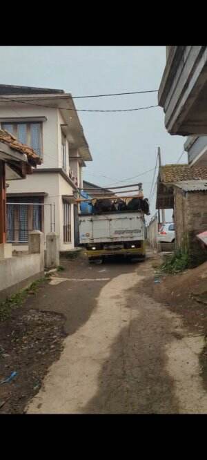 kedatangan sapi qurban ke kandang #Gemoy banget sapinyaa #ibadahqurban #shortplus #hewanqurban 