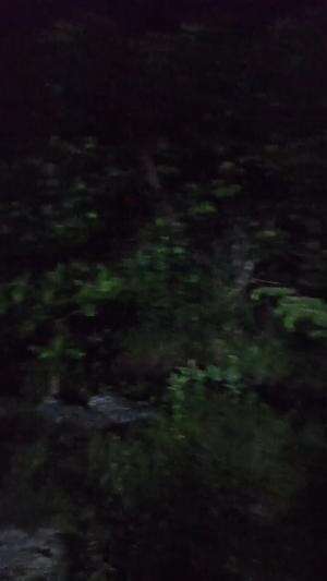 MALAM MALAM NGAPAIN INI......
 #Seru si tapi bahaya juga 