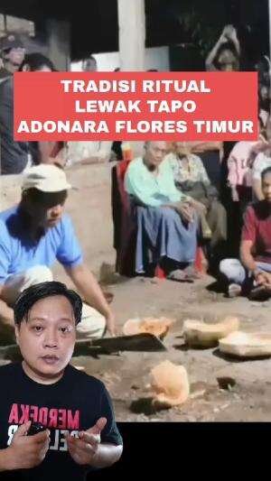 tradisi ritual lewak tapo suku Lamaholot pulau Adonara Flores Timur #lewaktapo #sukulamaholot #budayaIndonesia 