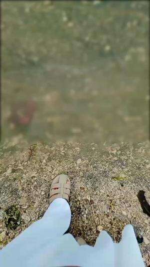 satu satunya aqua yg tidak bisa di minum adalah AQUARIUM 😆 #pantaiindah
#Dunia Cewek 
#fujian 