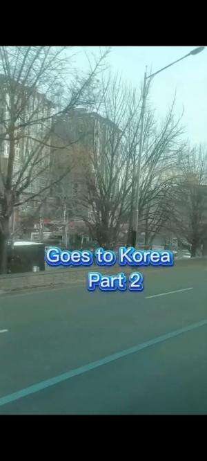 Goes to Korea Part 2