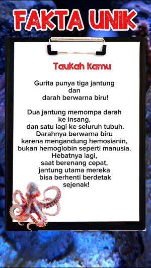 3 FAKTA UNIK HEWAN GURITA #FaktaUnik
 #gurita  #taukahkamu