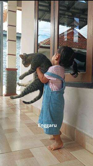bayik gendong kuceeeng..bayii bayii #bayigendingkucing #RCTIPlus #HOTrctiplus #Anak bayikkk 
