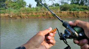 casting ikan gabus di sungai oakai lure wtd #fushing #shorts