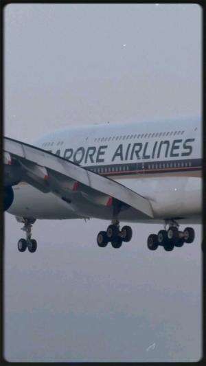 THE ART OF LANDING! Witnessing the Skill of Pilots! #shorts #airplane