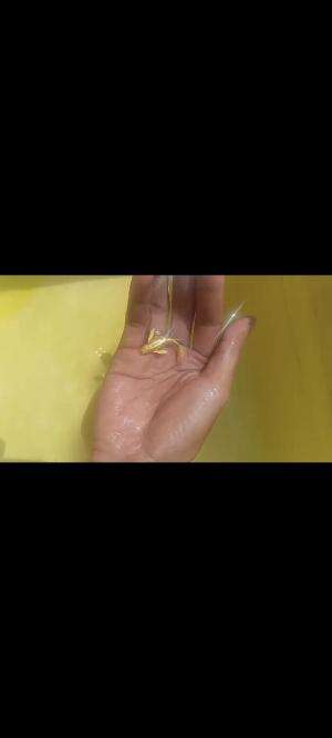 Fullgold ribbon guppy #everyone 