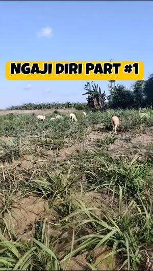 ngaji diri #ngajidiri #pondokpesantren