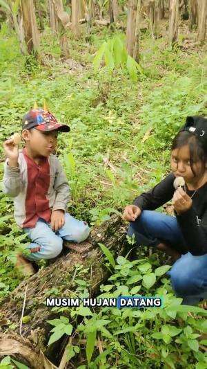 Berbagai Macam Jamur! Dari Yang Putih Bulat Sampai Mini 😍🍄 #shorts #trending