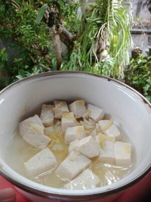 SAN's TOFU - diet sehat pneumonia - MCI10 