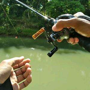 ikan gabus makan lure popper #lurefishing #fishingvideo #popper #adventure #shorts