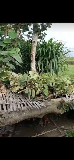 Kejeblos di jembatan rapuh 