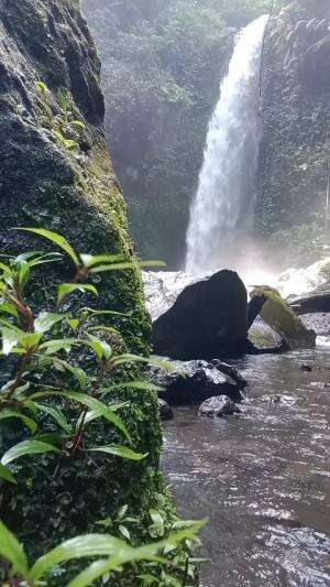 Coban Srikandi
Benjor Kec. Tumpang Kab. Malang
#jalan #benjor #setapak #coban #cinde #sanusi #cakra #srikandi #ngalam