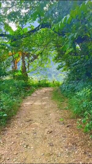 jalan-jalan pagi
#Viral #fypシ 