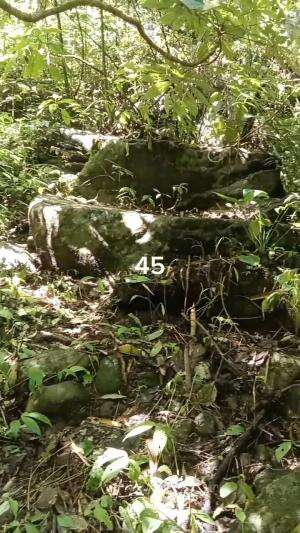 Batu Pertapa
Serunya Tracking Coban Di Benjor Part 45
#jalan #benjor #setapak #coban #cinde #sanusi #cakra #srikandi #ngalam
