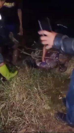 detik-detik pencuri getah karet tertangkap polisi  #pencurian #maling tertangkap #maling karet  